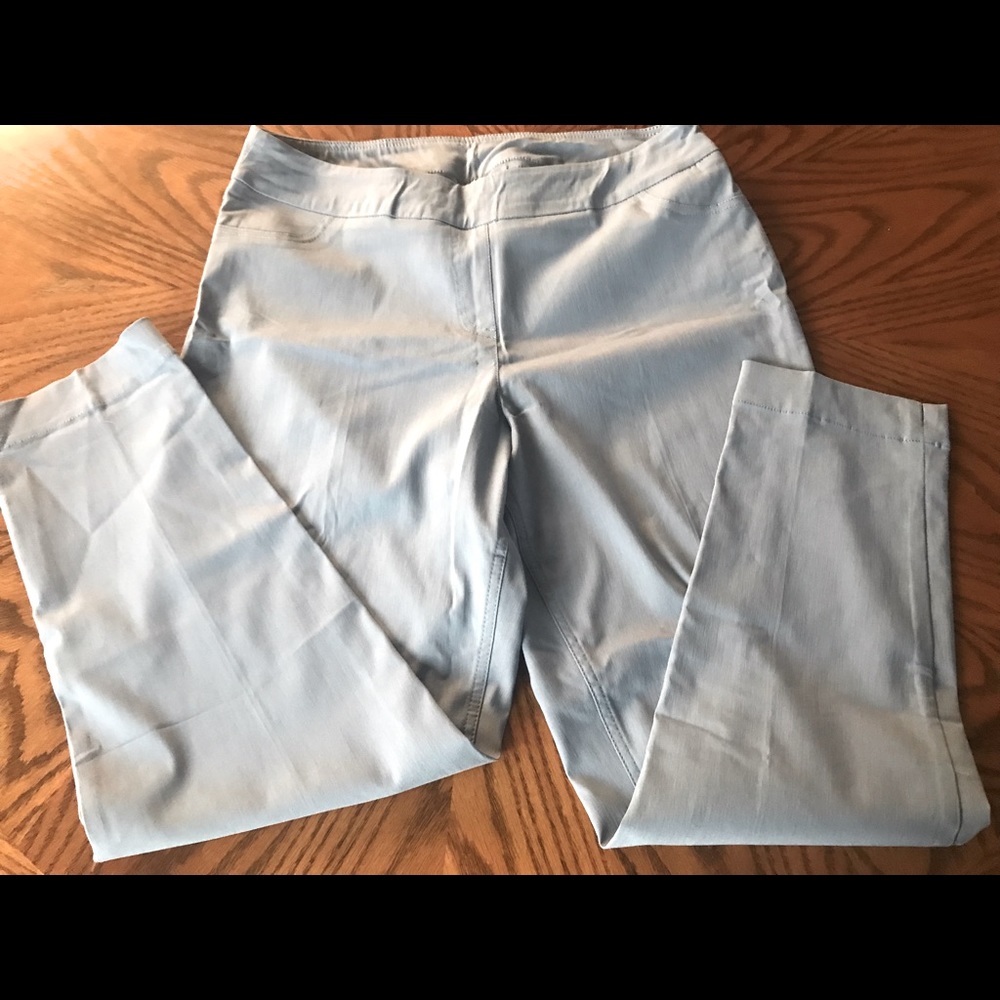 Soft Surroundings Sz L Light Blue stretch pant